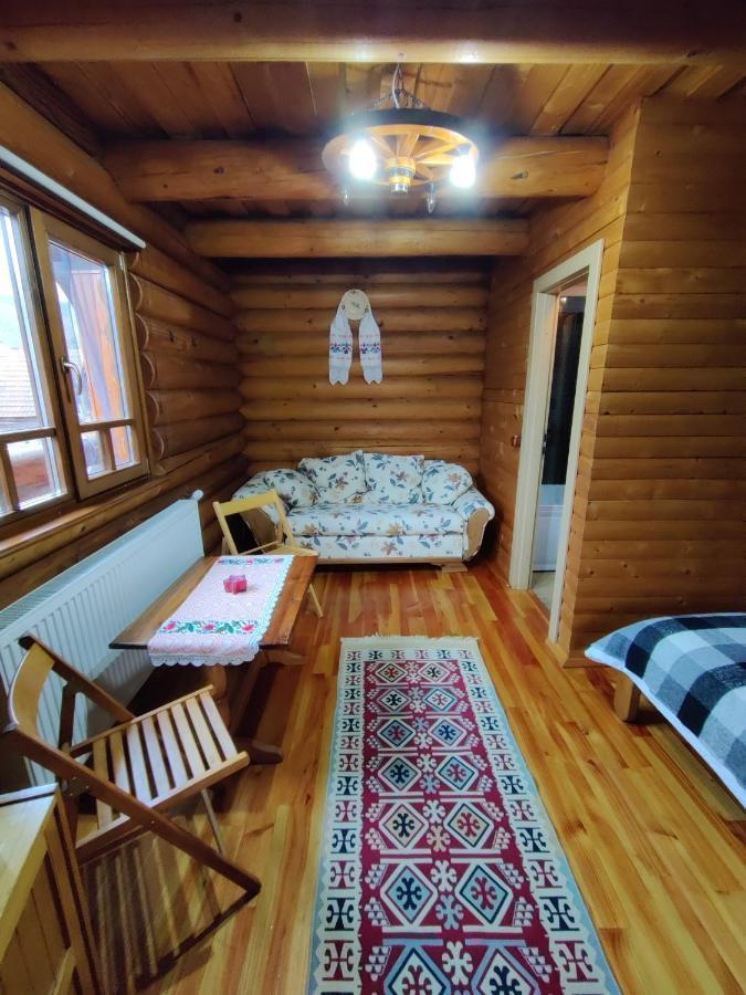 Pensiunea Ioana Vadu Izei Dış mekan fotoğraf